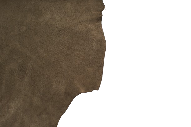 Olive Green ( Suede )